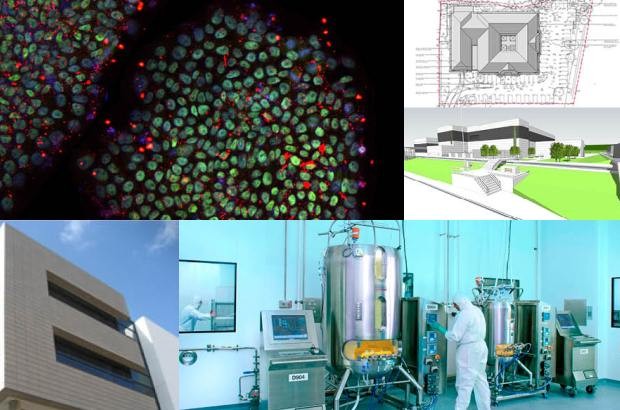 Clockwise from top left. Images courtesy of: The Cell Therapy Catapult; BTG Plc; AstraZeneca; Fujifilm Diosynth Biotechnologies; Eisai.