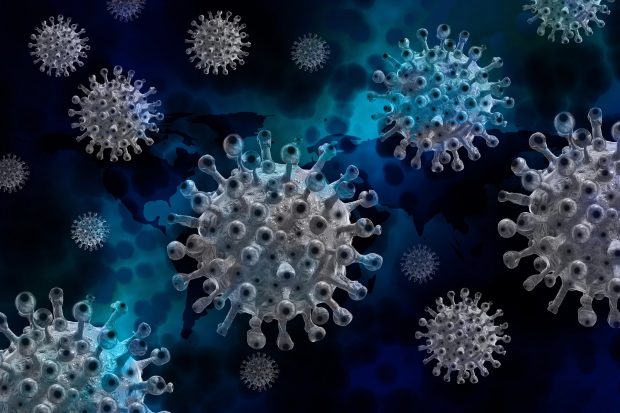 Virus Particles